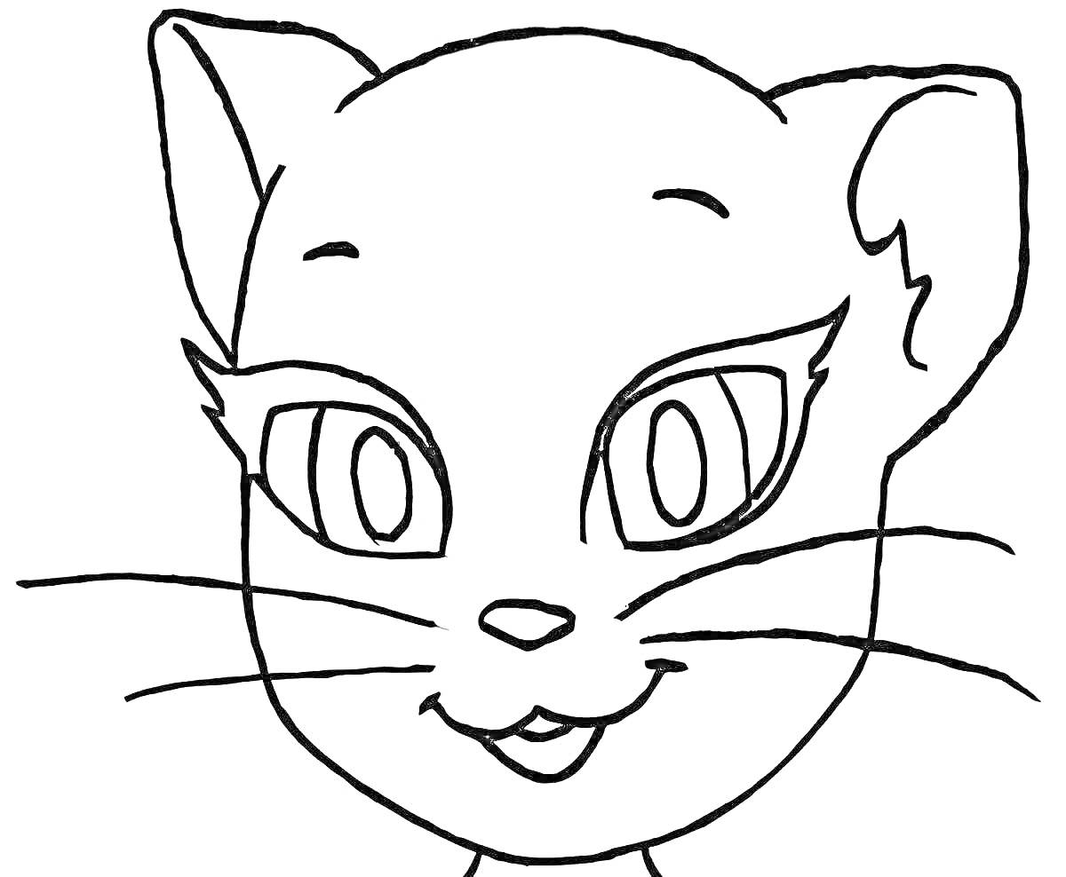 Раскраска Лицо кошки Анжелы с крупными глазами и усами