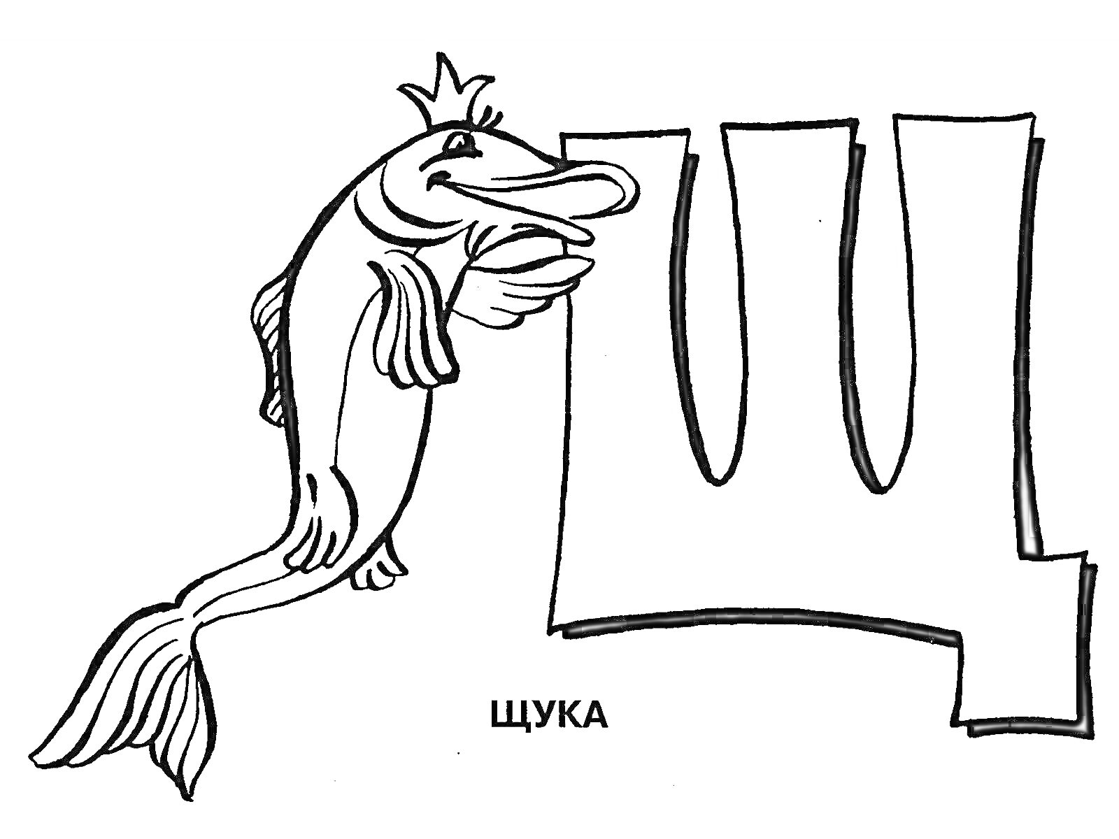 На раскраске изображено: Щука, Буква Щ, 1 класс, Алфавит, Рыба, Русская азбука, Школьное обучение