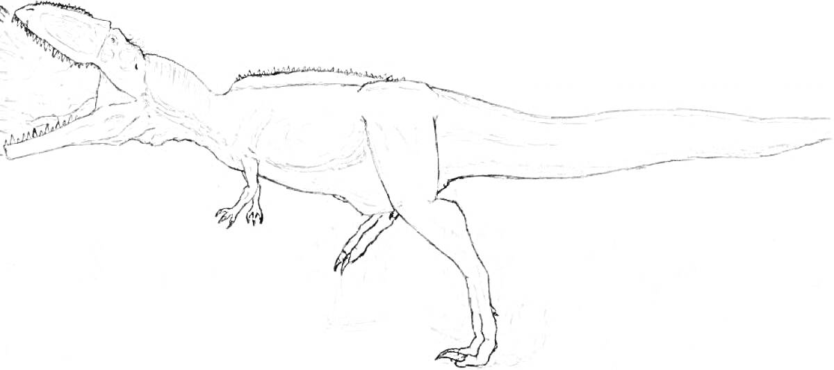 Раскраска Гигантозавр с открытой пастью