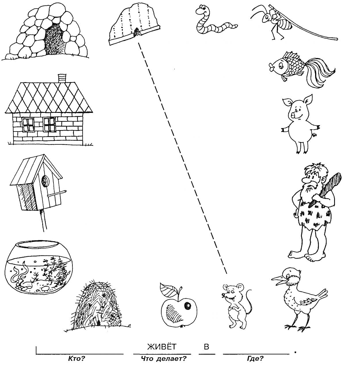 На раскраске изображено: Животные, Жилище, Рыба, Червяк, Кузнечик, Еж, Белка, Дом