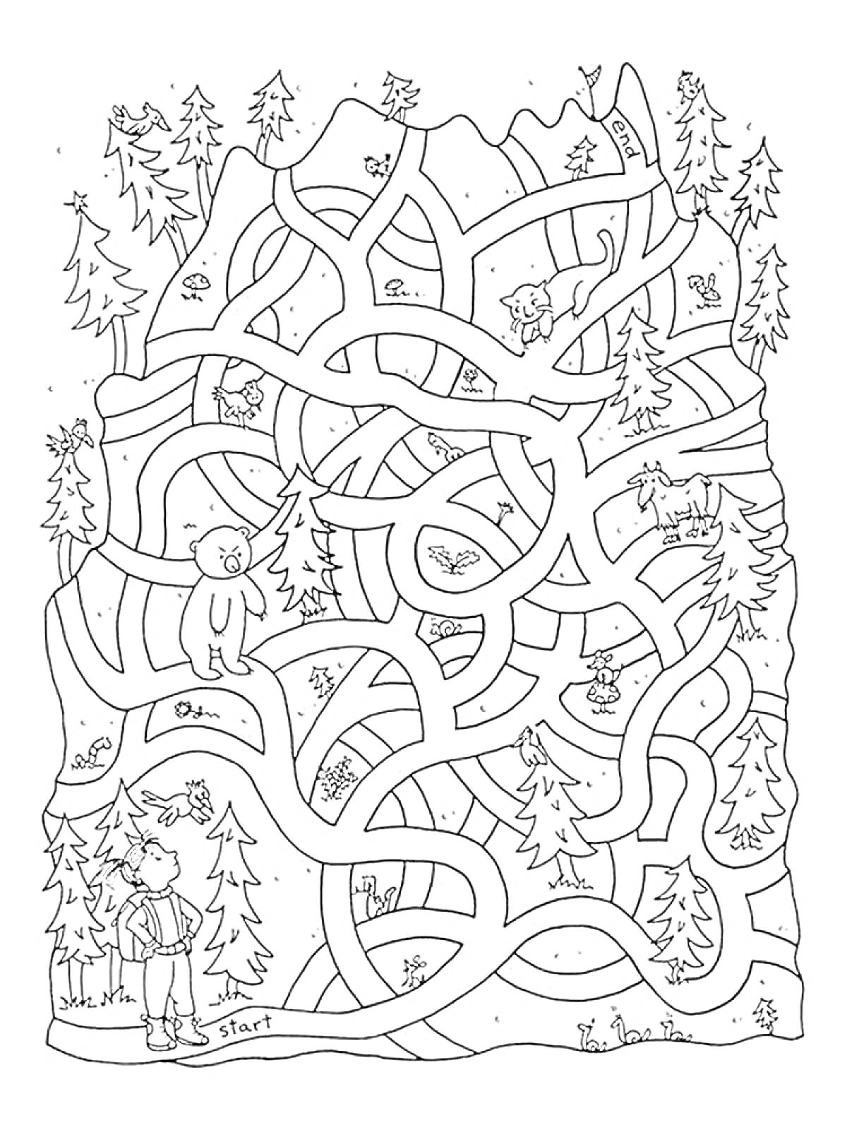 Раскраска Лабиринт в лесу со зверями и человеком у входа
