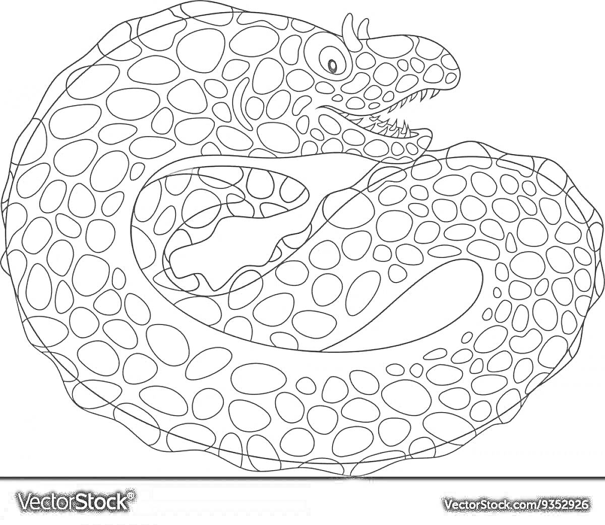 Раскраска Раскраска с муреной с пятнистым телом и открытой пастью