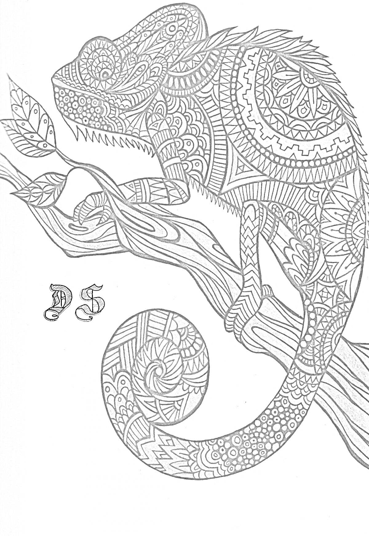 Раскраска Хамелеон на дереве с декоративными узорами