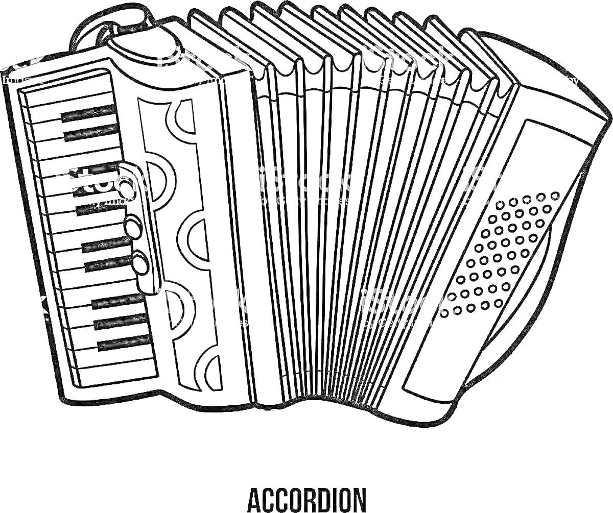 Раскраска Аккордеон. Изображение содержит клавиатуру, кнопки, меха, и ремешки.