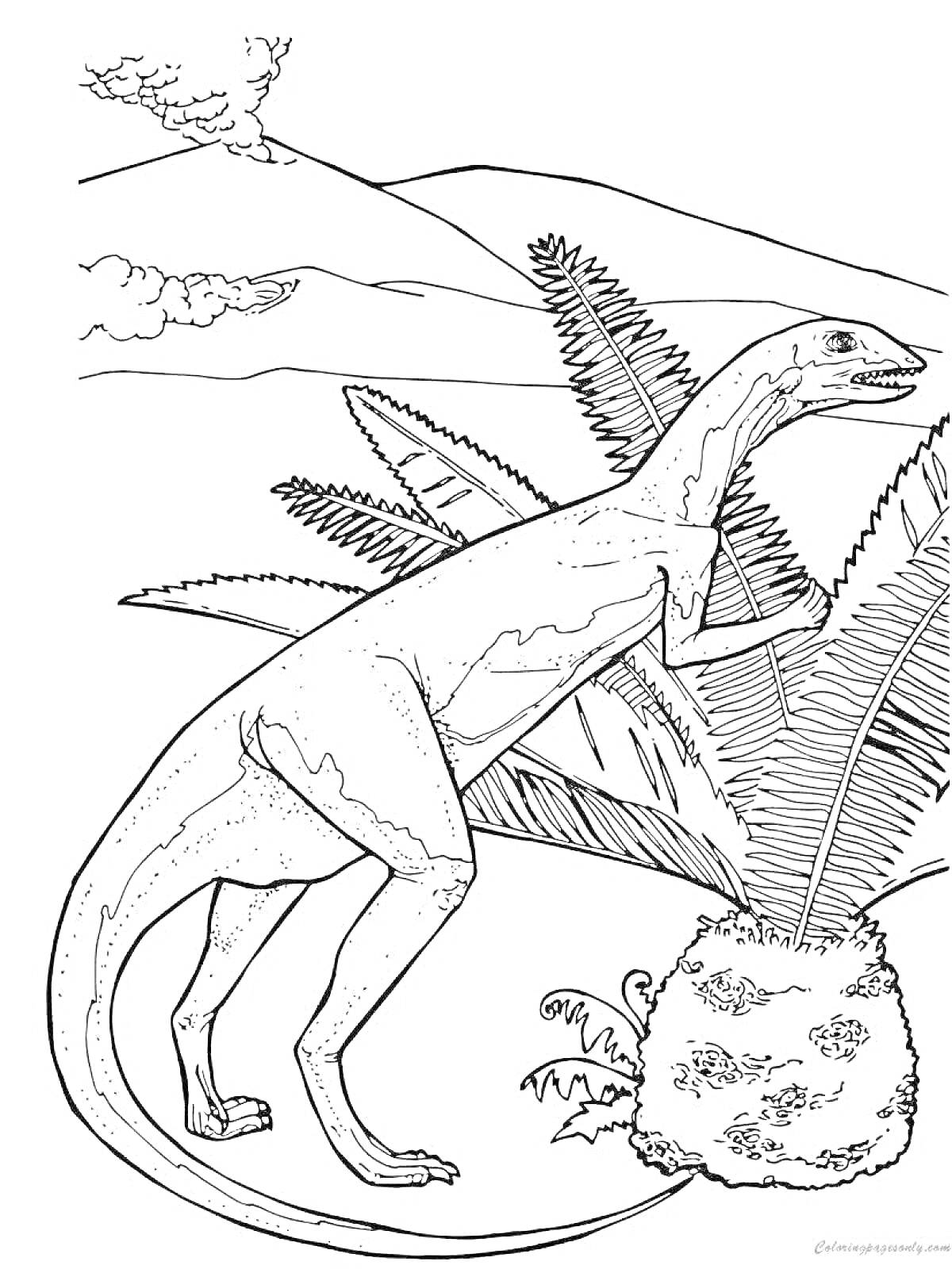 На раскраске изображено: Динозавр, Травоядный, Папоротник, Горы, Природа, Доисторический лес