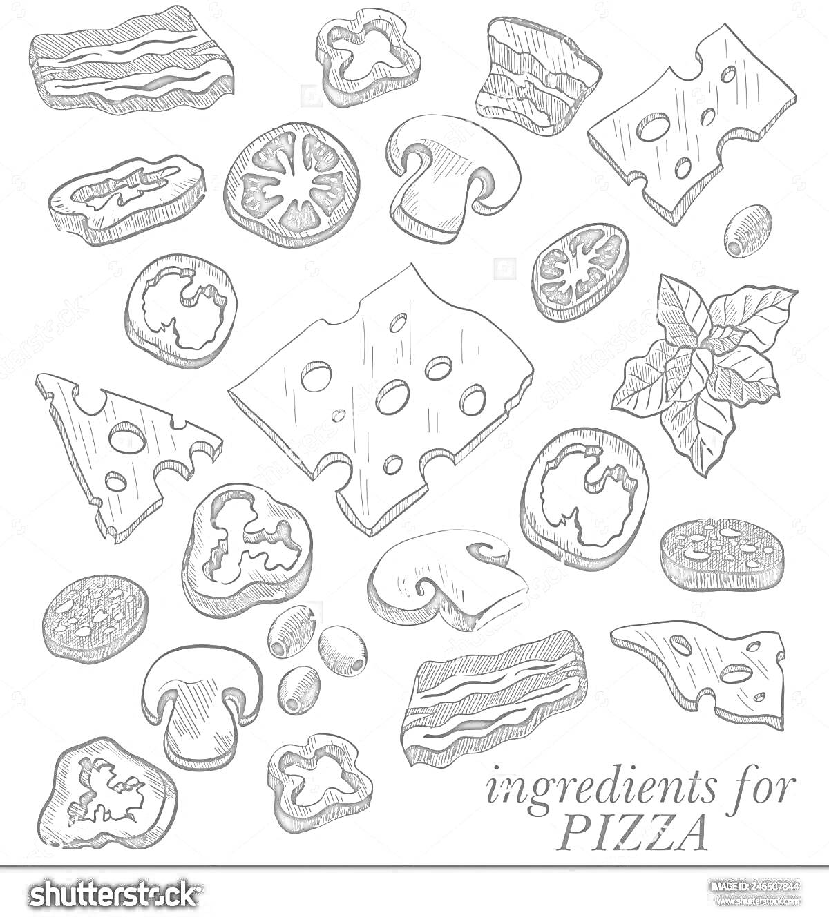 На раскраске изображено: Пицца, Ингредиенты, Бекон, Помидоры черри, Грибы, Базилик, Сыр, Оливки, Перец, Колбаса, Салями