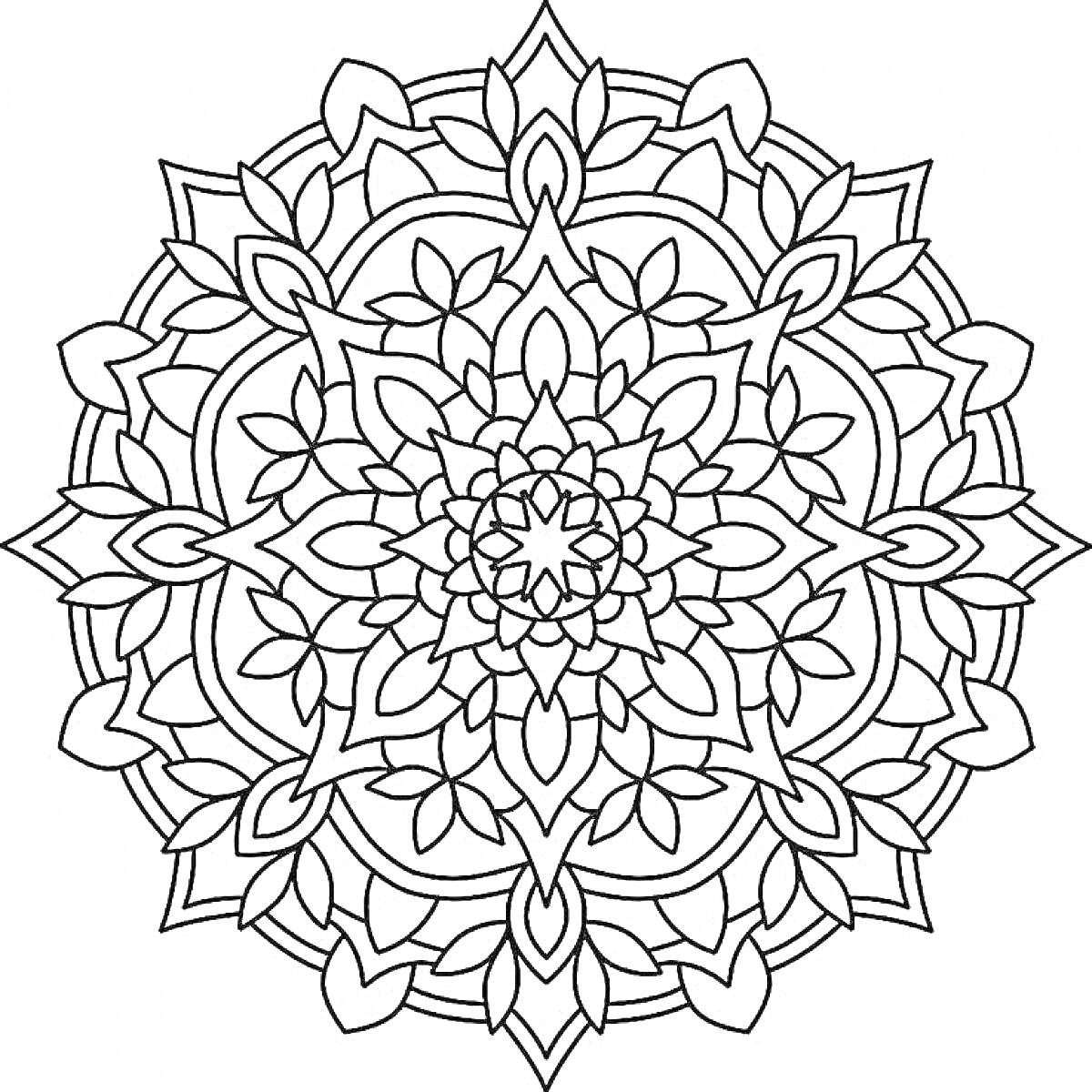 Раскраска Мандала антистресс с цветочными узорами, листьями и геометрическими элементами