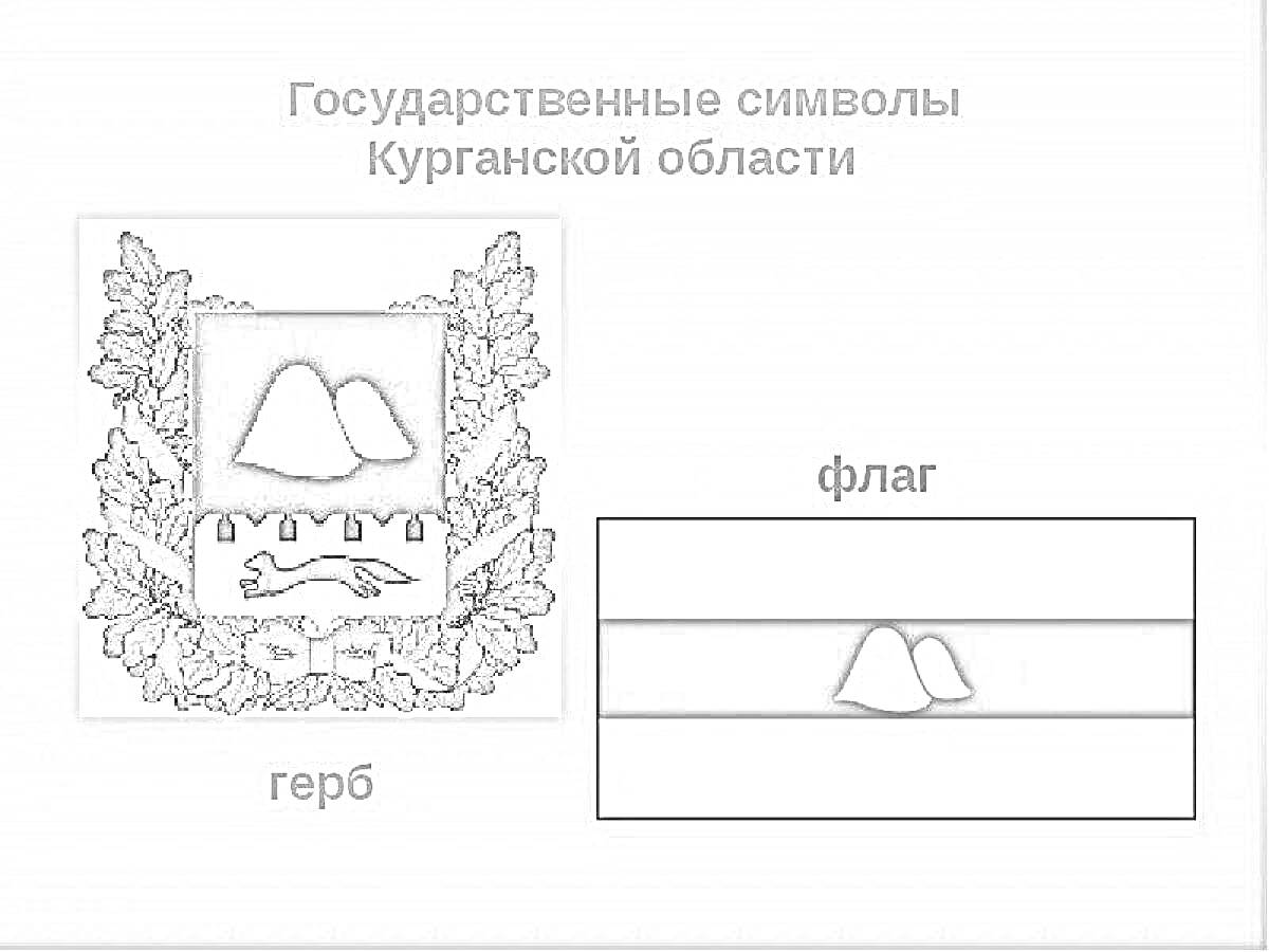 Раскраска Государственные символы Курганской области (герб и флаг)