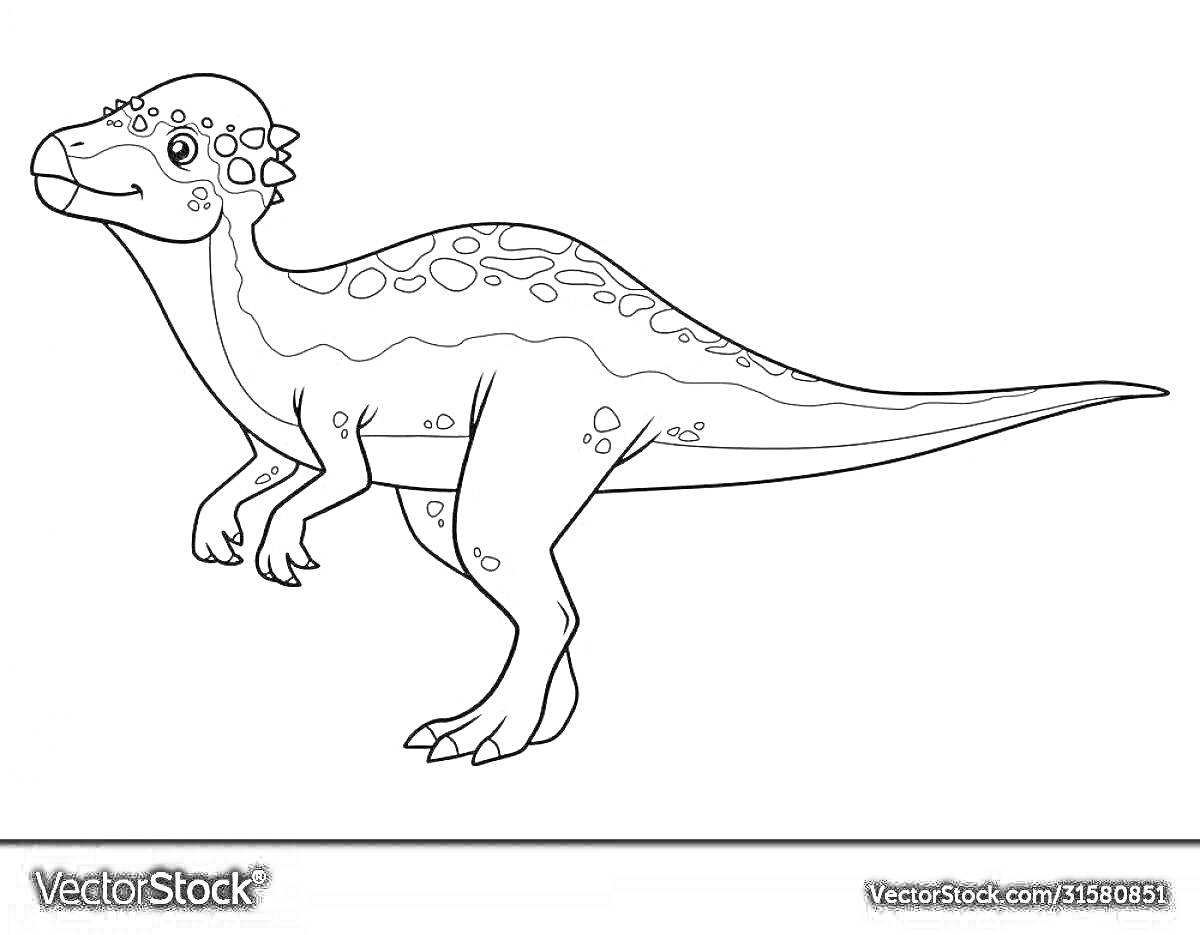 На раскраске изображено: Пахицефалозавр, Динозавр, Пятна, Иллюстрация