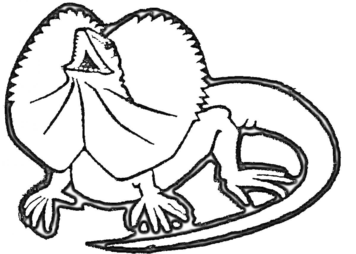 Раскраска Раскраска с изображением ящерицы с воротником, открывшей пасть