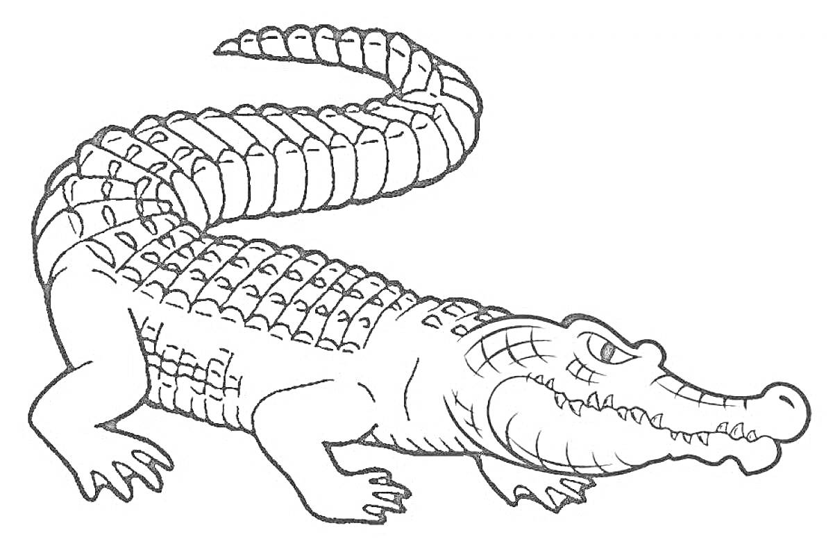 Раскраска Раскраска аллигатор с детализированной текстурой кожи и когтями