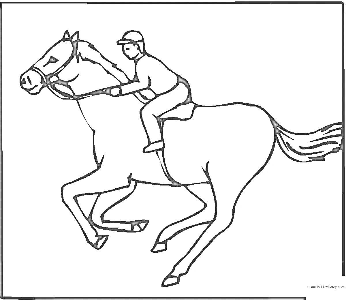 На раскраске изображено: Лошадь, Всадник, Верховая езда, Сабантуй, Скачки, Традиции, Спорт
