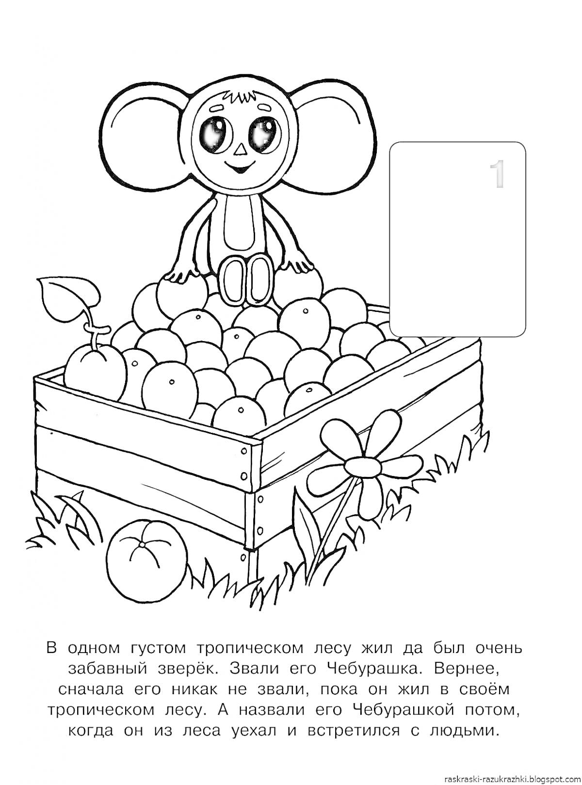 Раскраска Чебурашка сидит на ящике с апельсинами в траве с цветком