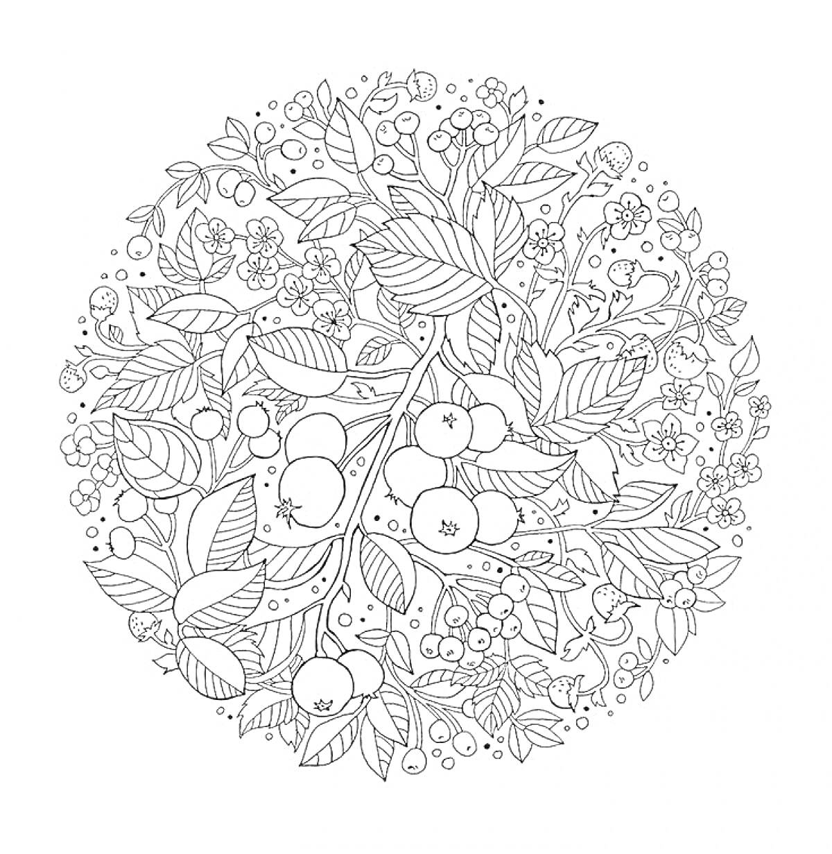 Раскраска Ветка с яблоками, листьями и цветами внутри круглой рамки