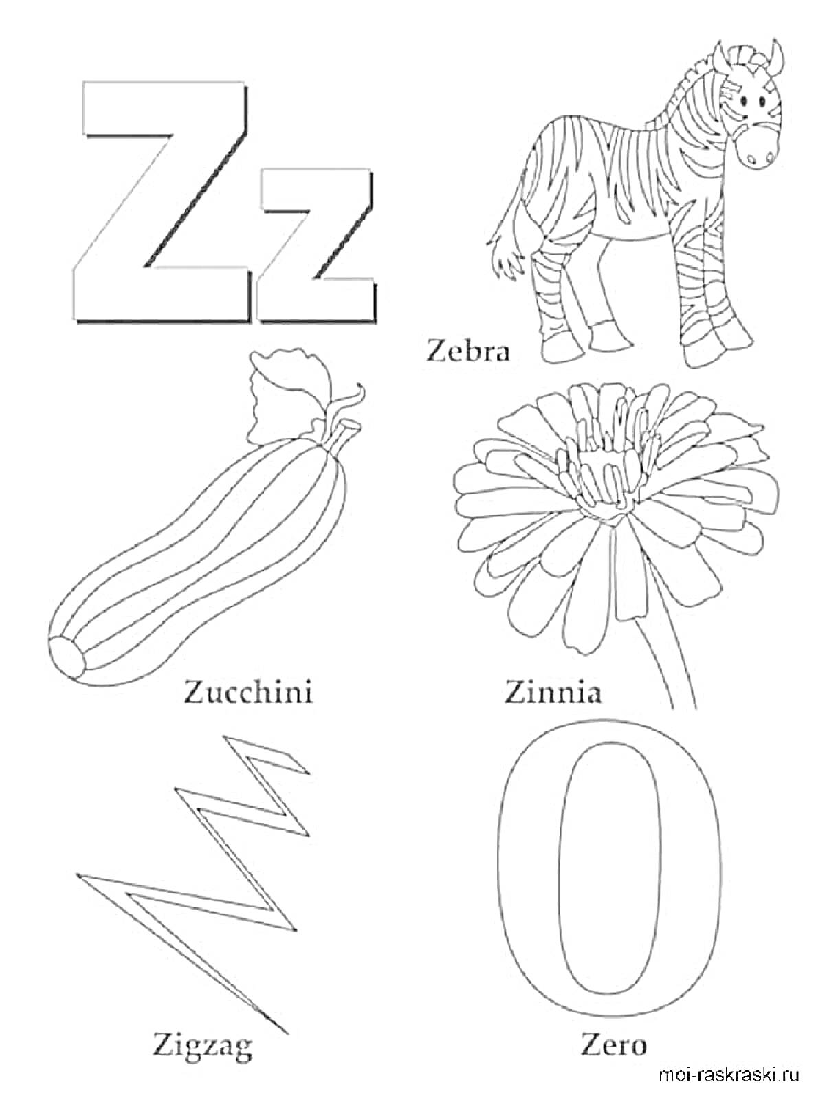 Английский алфавит - буква Z с изображениями и подписями Zebra, Zucchini, Zinnia, Zigzag, Zero