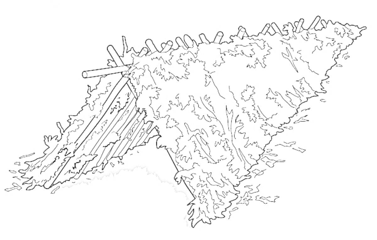 Раскраска Шалаш из веток и листьев на земле