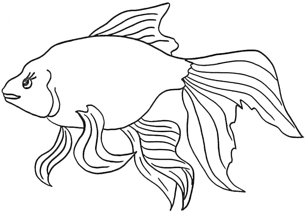 Раскраска Раскраска для малышей - золотая рыбка с плавниками и хвостом