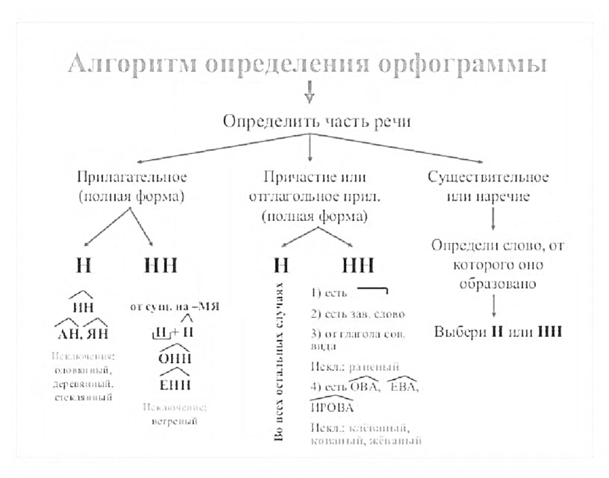 Раскраска Алгоритм определения орфограммы - причастия и прилагательные, глаголы и существительные, наречия