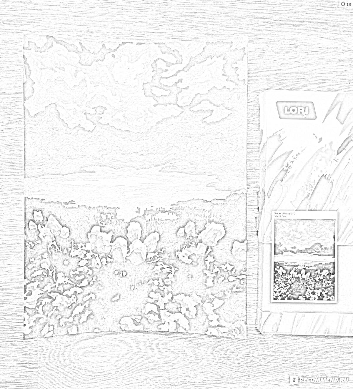 На раскраске изображено: Фикс прайс, Цветы, Облачное небо, Поле, Пейзаж, LORI