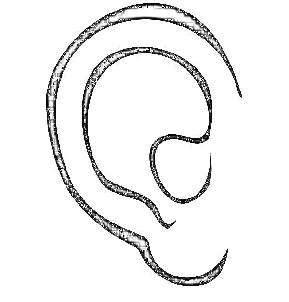 Раскраска Контурное изображение человеческого уха