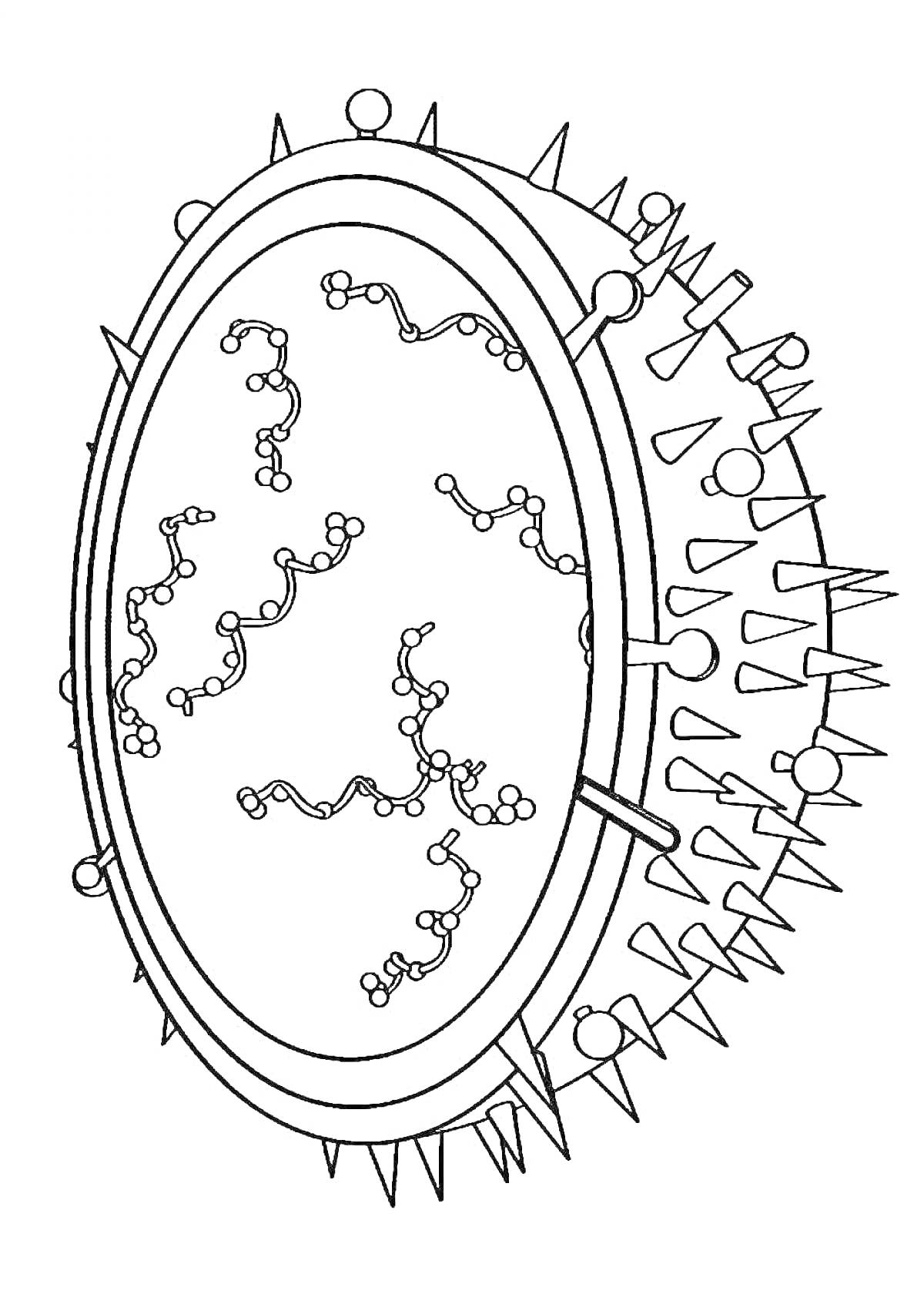 Раскраска Вирус в капсиде с РНК нитями и шипами на поверхности