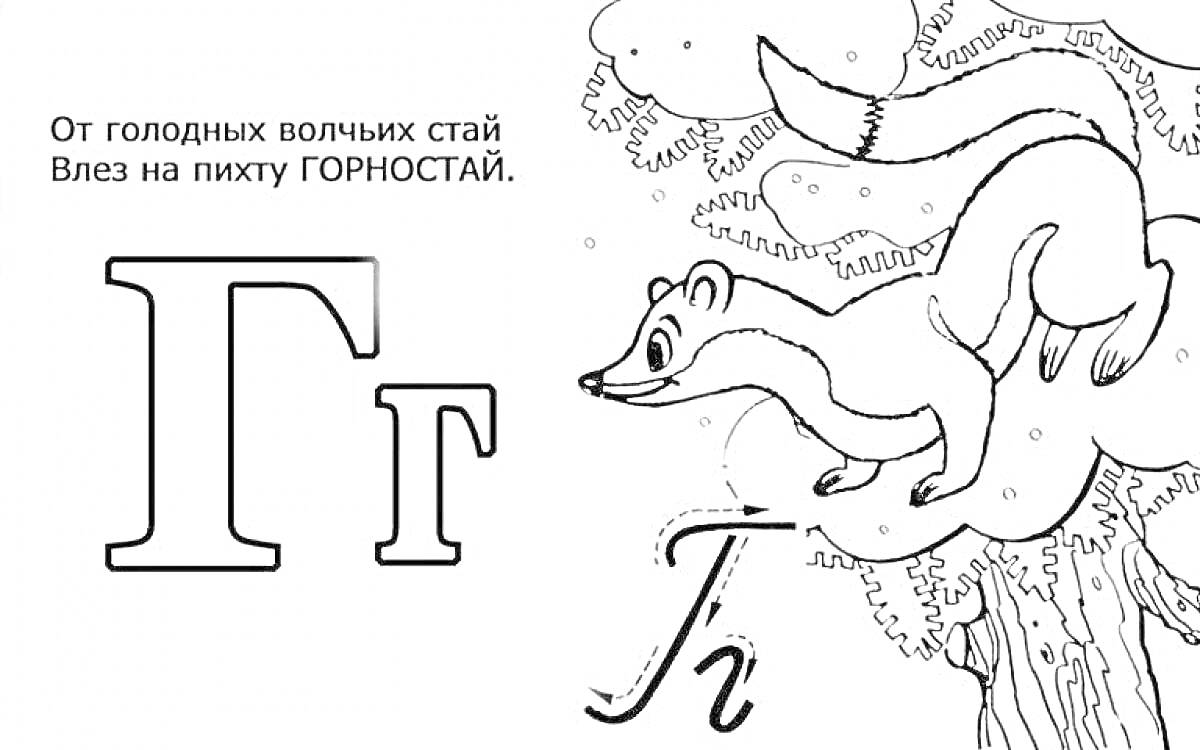 На раскраске изображено: Буква Г, Горностай, Для детей, Учим буквы