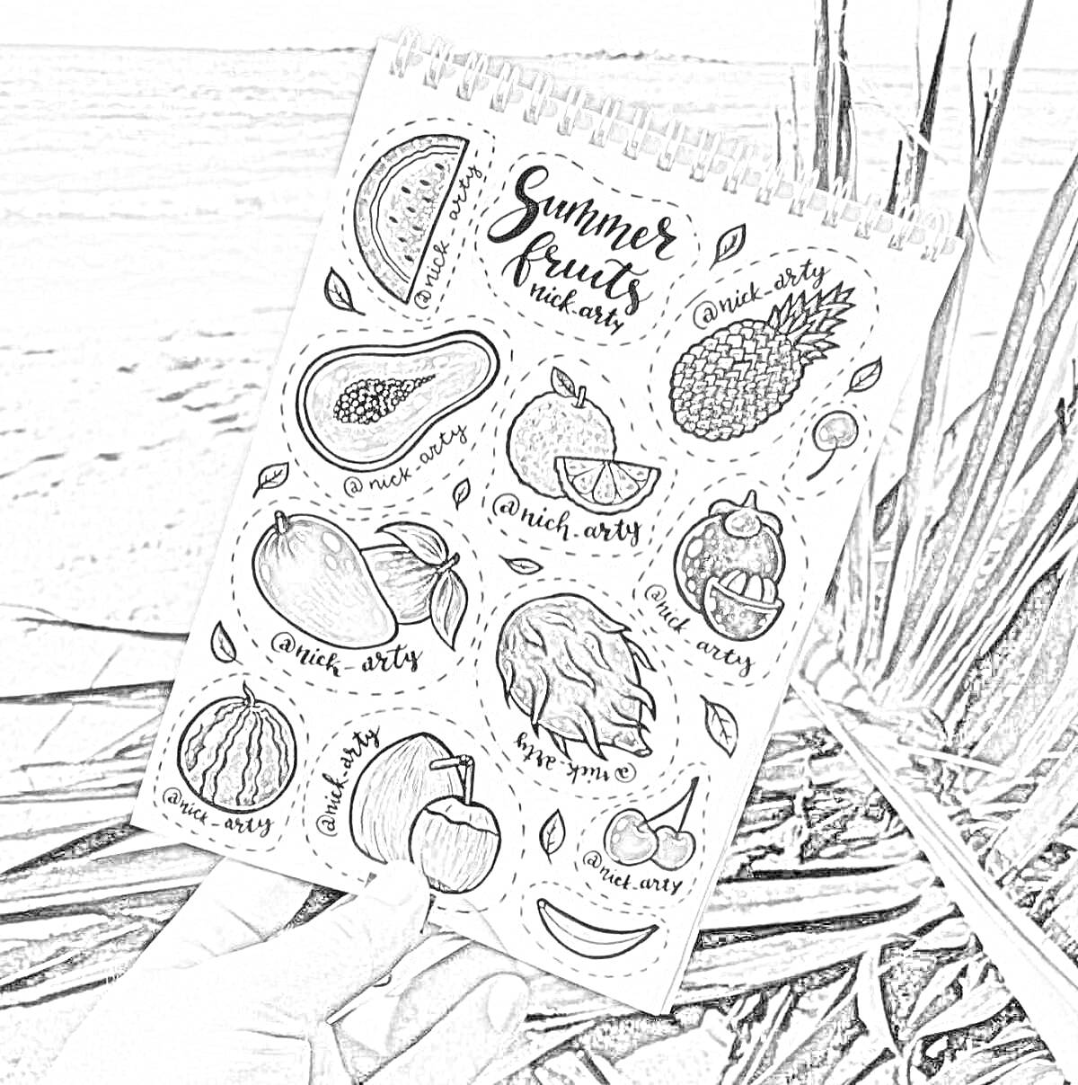 Раскраска Summer Fruits Stickerbook - Арбуз, папайя, ананас, гранат, мангостин, груша, малина, манго, персик, апельсин, ягоды
