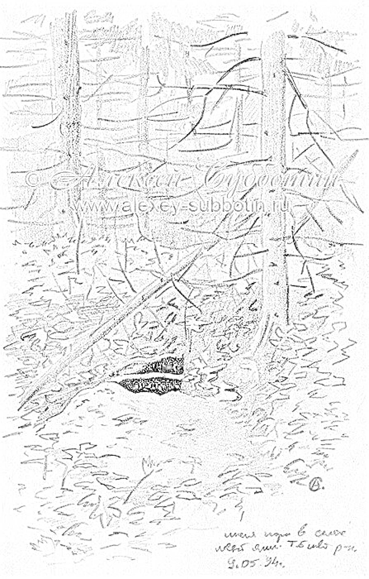 Раскраска Нора в лесу с деревьями и опавшими листьями