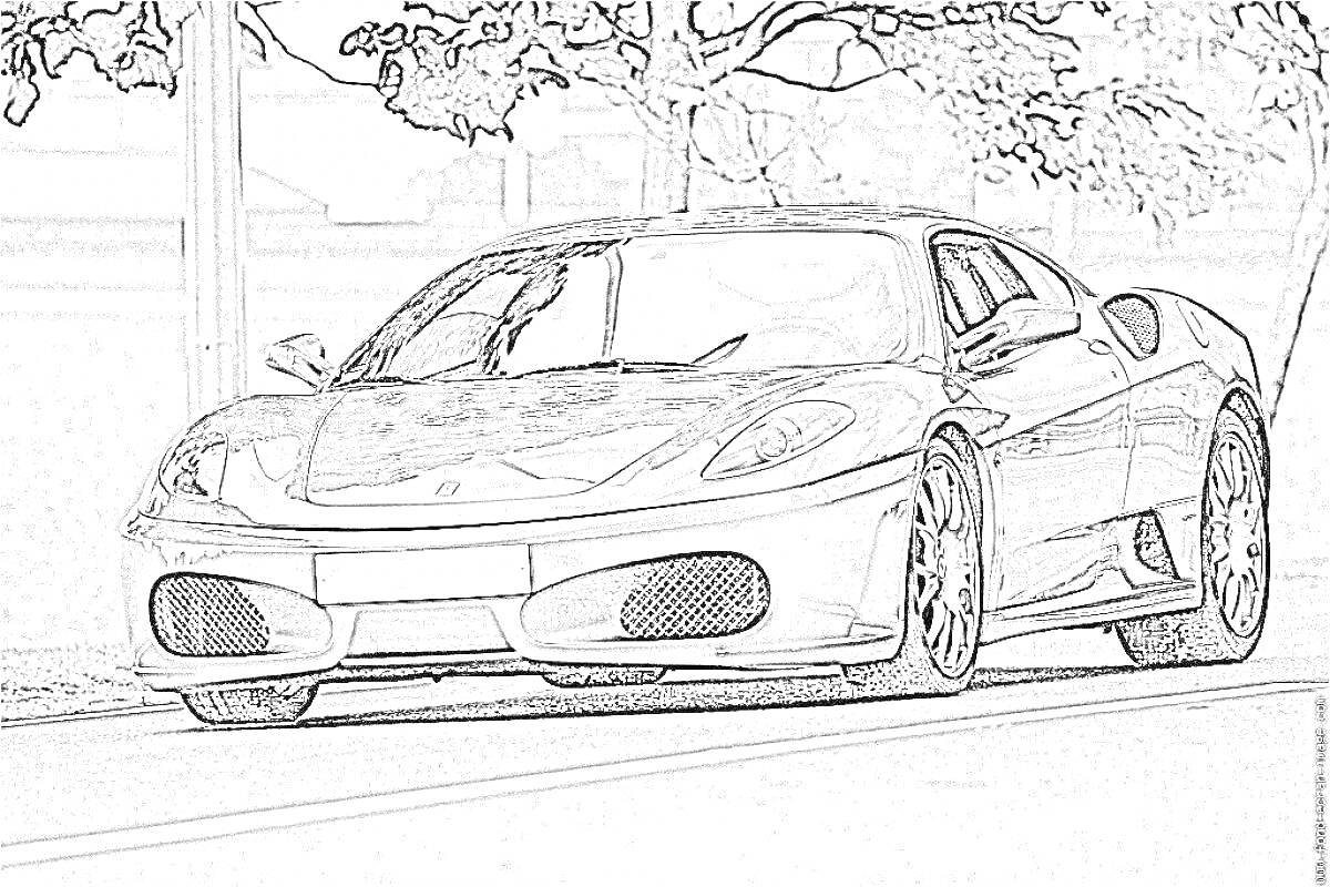 Раскраска Спортивная машина Ferrari на дороге, деревья на заднем плане.