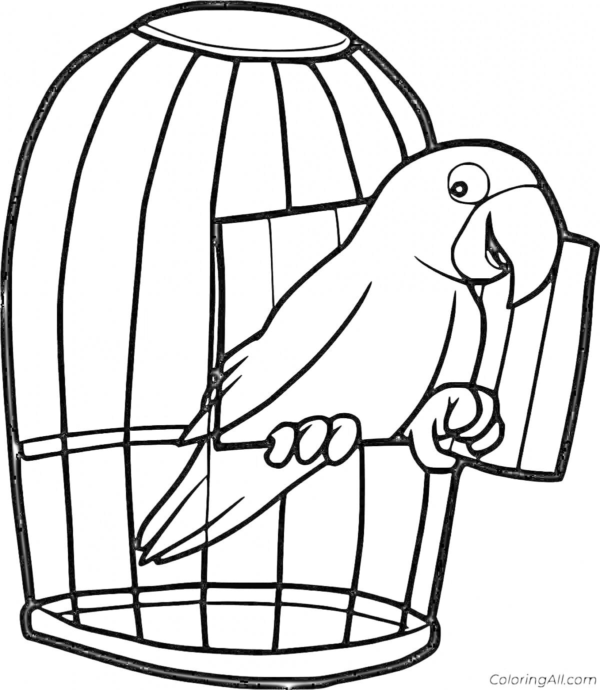 Раскраска Попугай в клетке на жердочке