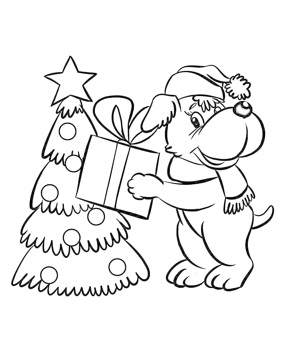Раскраска Собака в новогодней шапке с подарком у ёлки