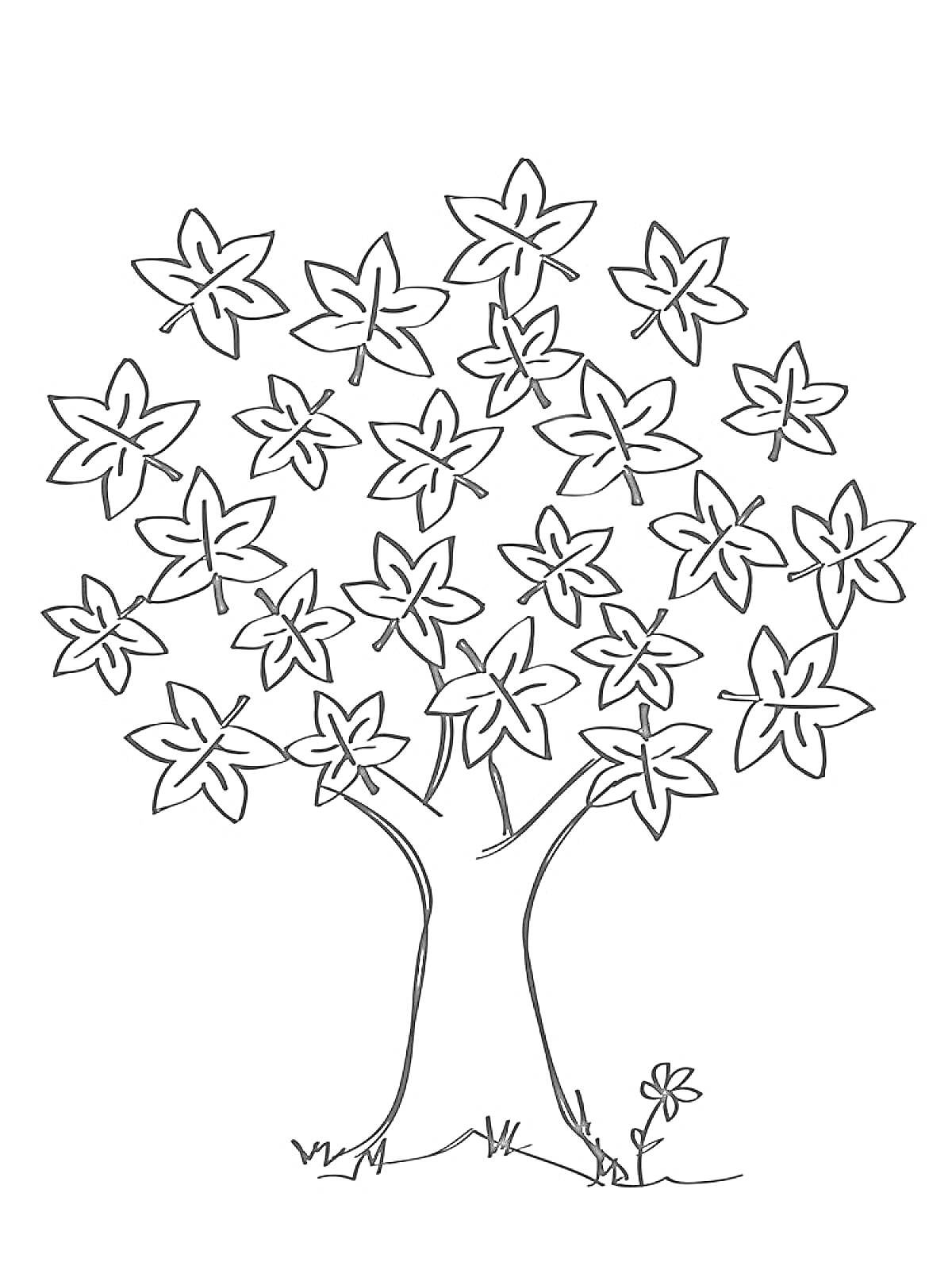 Раскраска Дерево с листьями в форме кленовых листьев и маленьким цветком у корней