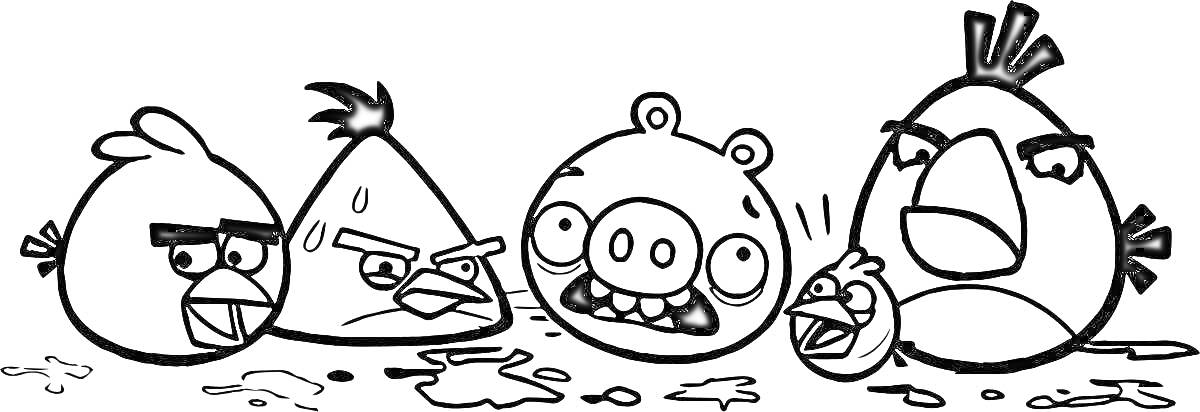 Раскраска Три сердитых птицы и один поросенок на земле с листьями