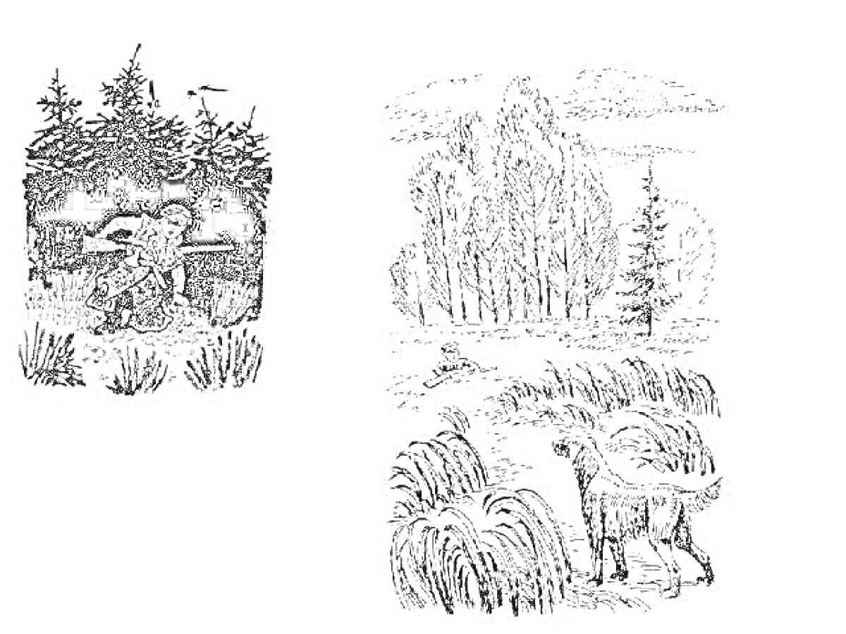 Раскраска Человек с ружьём на фоне леса, Лиса убегает через поле с копной сена, Козы на поле