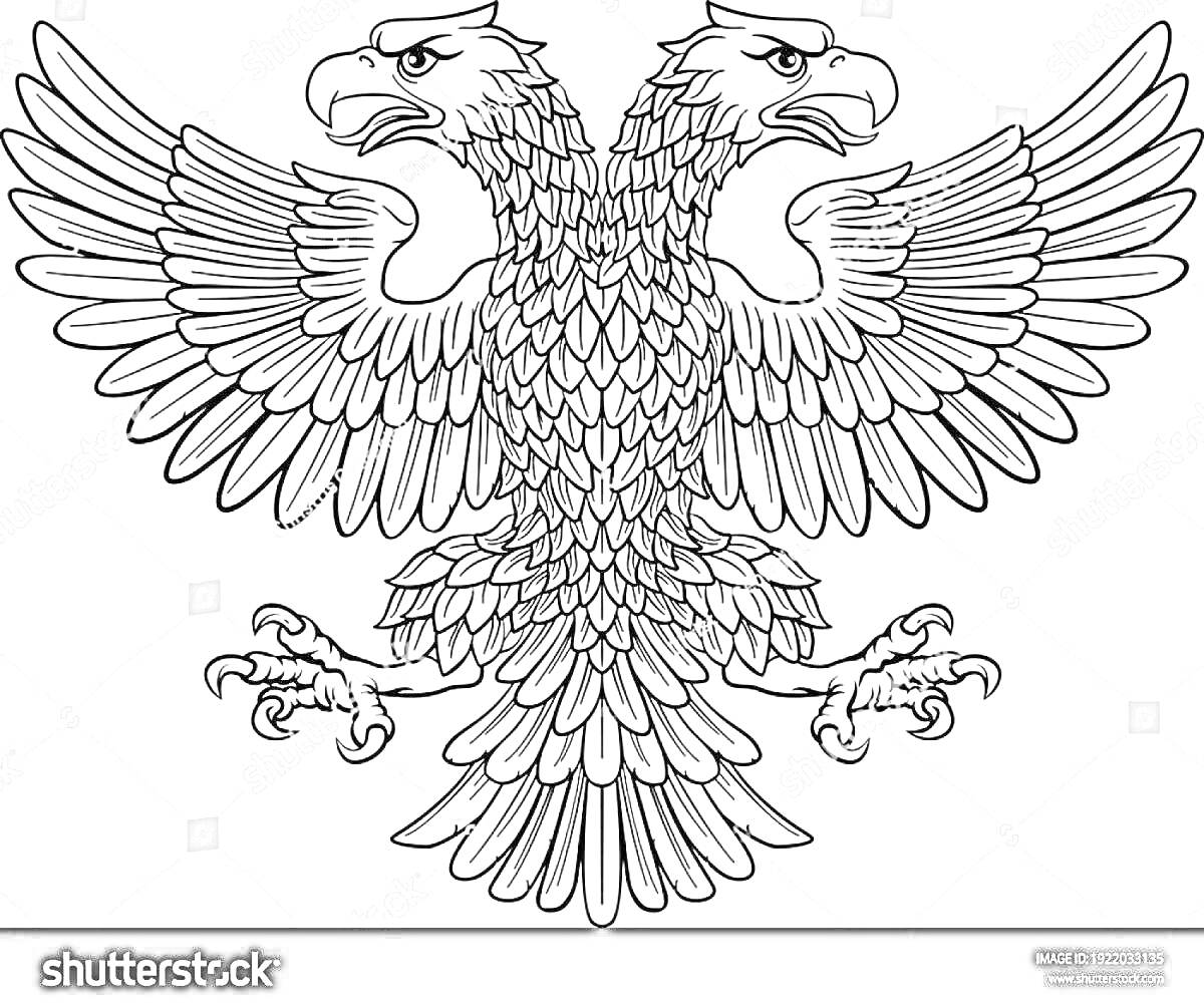 На раскраске изображено: Двуглавый орел, Орел, Птица, Геральдика, Крылья, Когти, Перья, Расправленные крылья