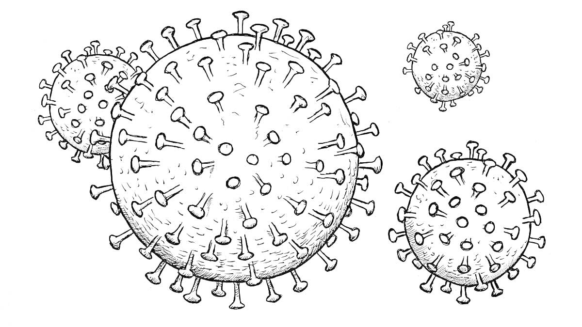 Раскраска Вирусные частицы с шипами