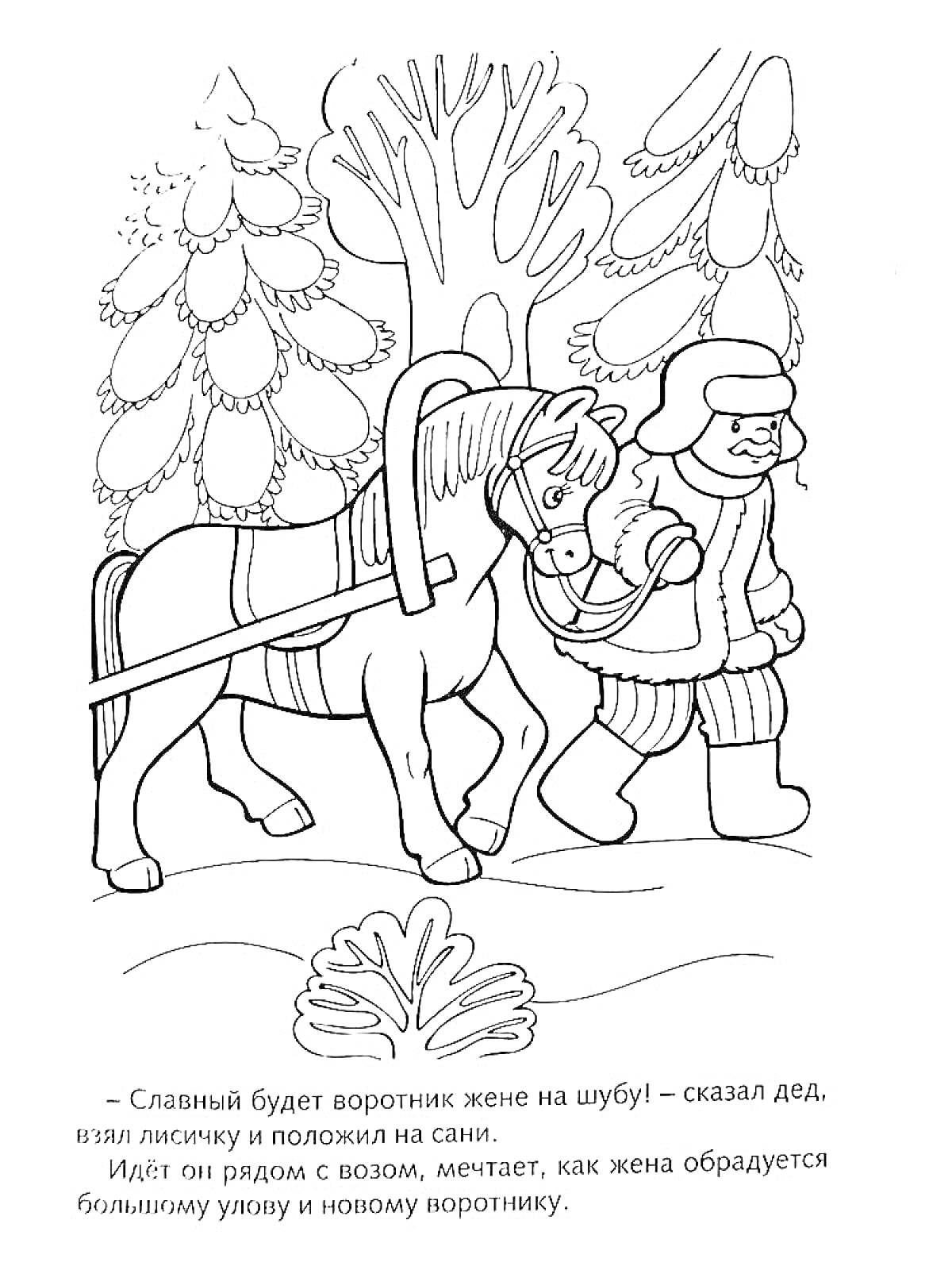 Дед приводит домой лису на санях с лошадью в зимнем лесу
