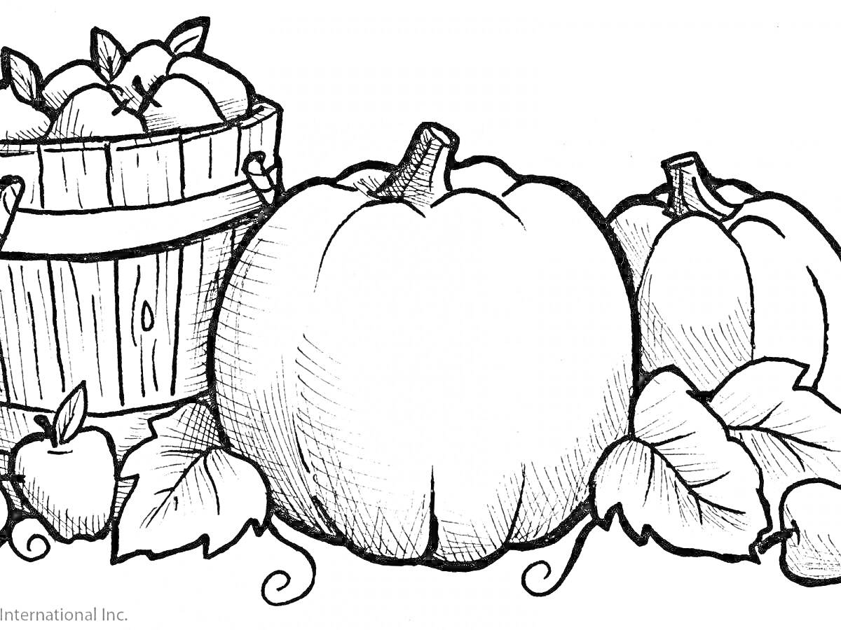 Раскраска Тыквы и яблоки в корзине среди листьев