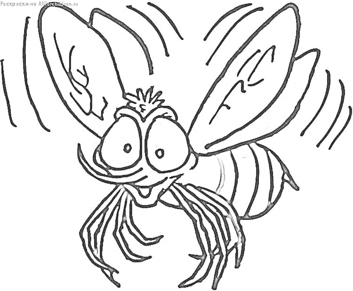 Раскраска Муха с большими глазами, большими ушами и вибрацией крыльев