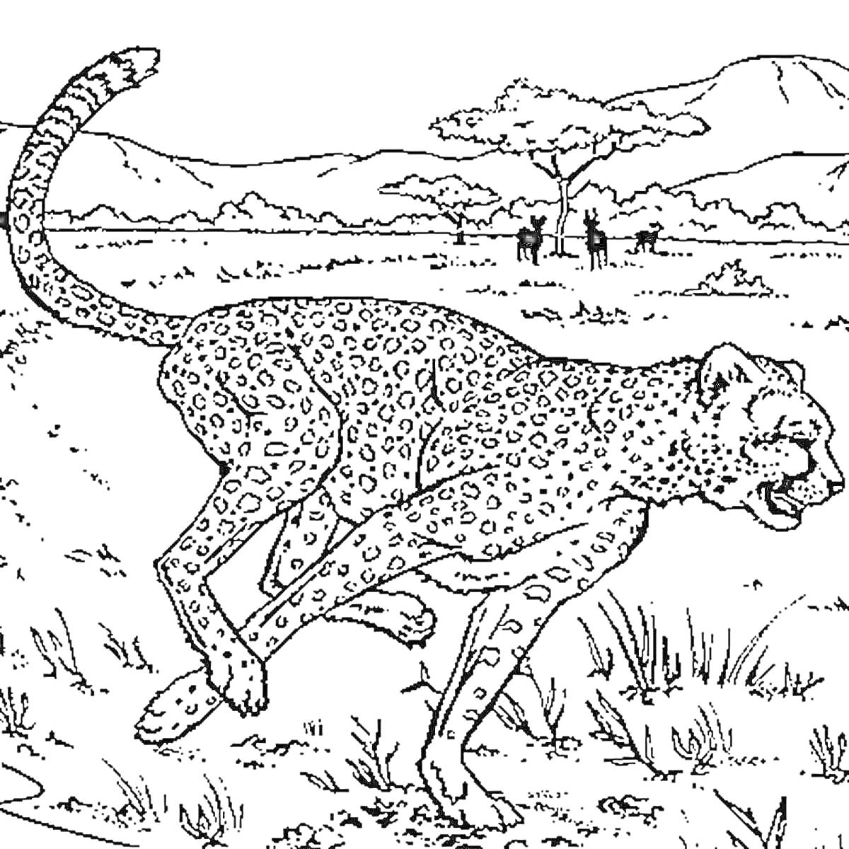Раскраска королевский гепард, бежит по саванне, на заднем плане горы и деревья, несколько животных вдали