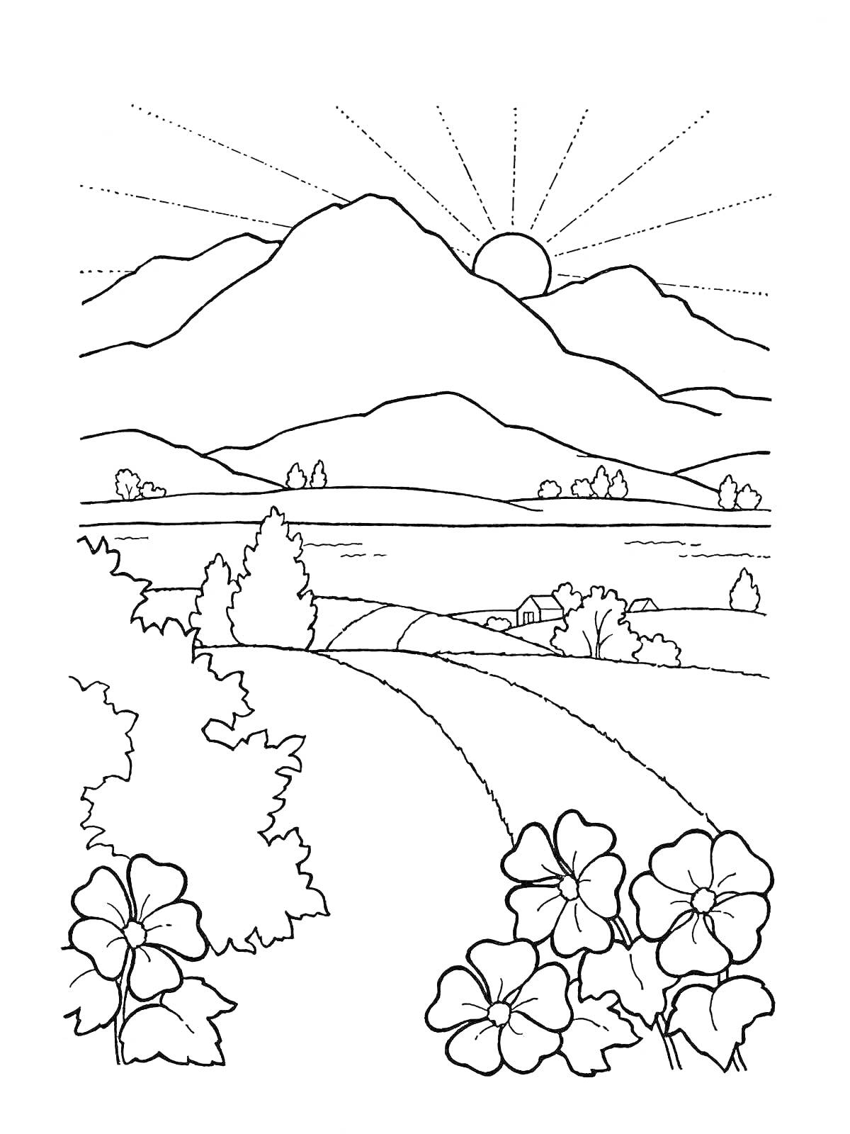 Раскраска Горы, восходящее солнце, дороги, деревья и цветы