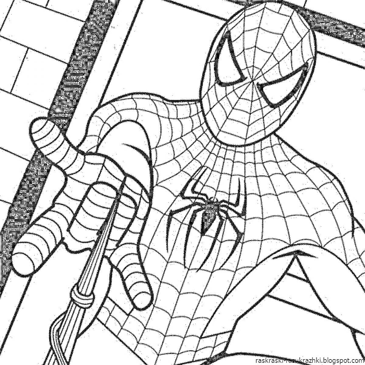 Раскраска Человек-паук спускается на паутине на фоне здания