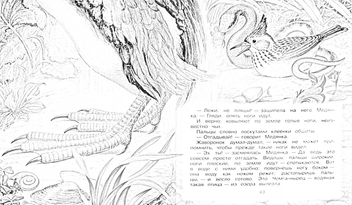 Раскраска Птица с большими лапами, маленькая птичка, текст