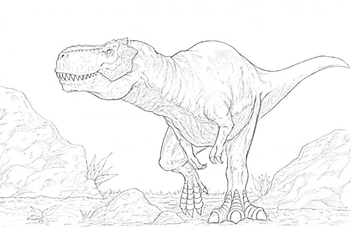 Раскраска Тираннозавр Рекс среди скал и растений