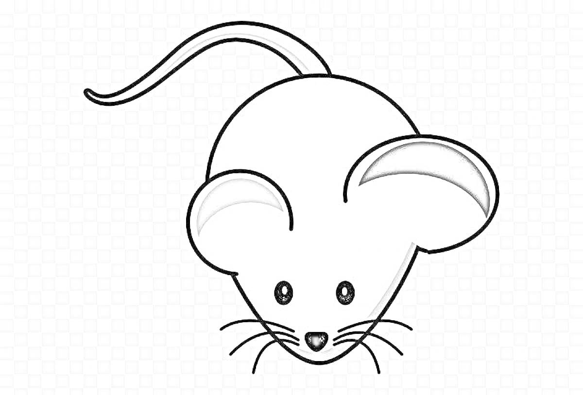 На раскраске изображено: Мышь, Для детей, Большие уши, Длинный хвост