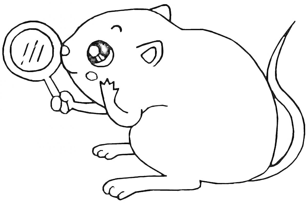 Раскраска Мышка с лупой