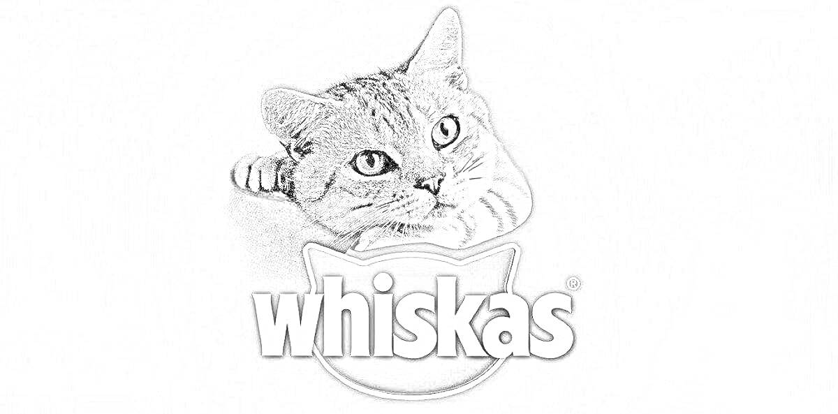 Раскраска Кот лежащий на логотипе бренда 