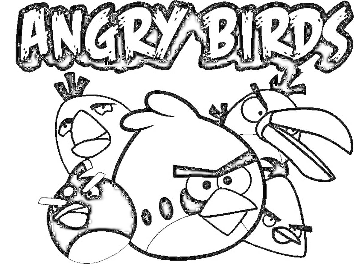 Раскраска Логотип Angry Birds, пять птиц (красная, желтая, белая, черная и синяя), надпись 