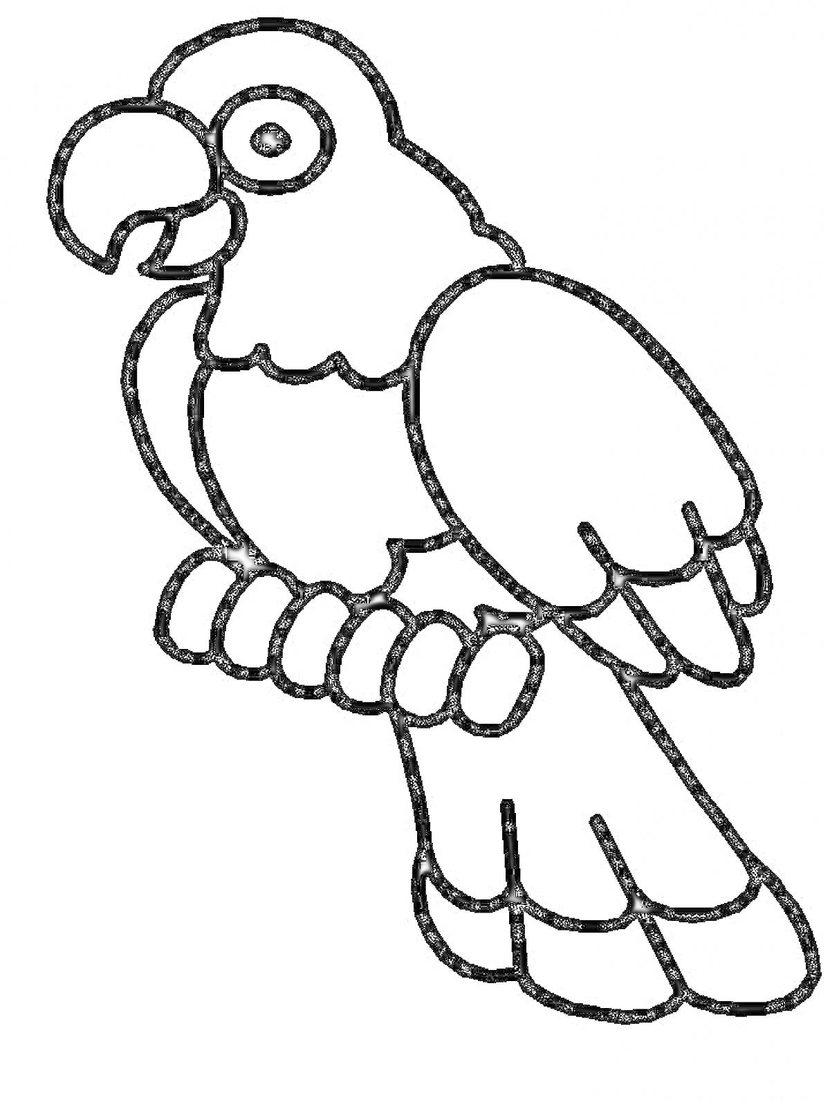 Раскраска Попугай, сидящий на жердочке
