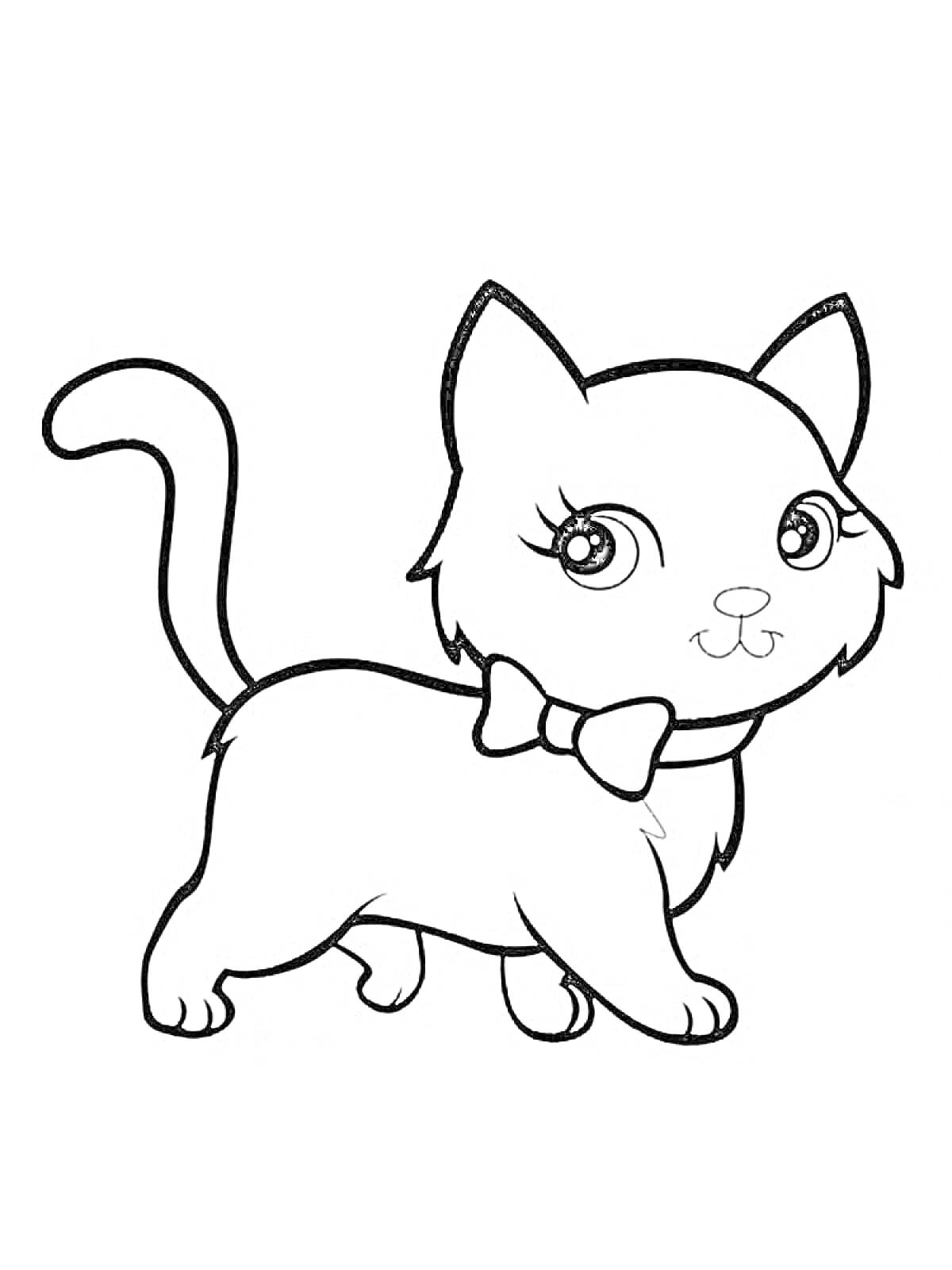 Раскраска Котик с бантом на шее